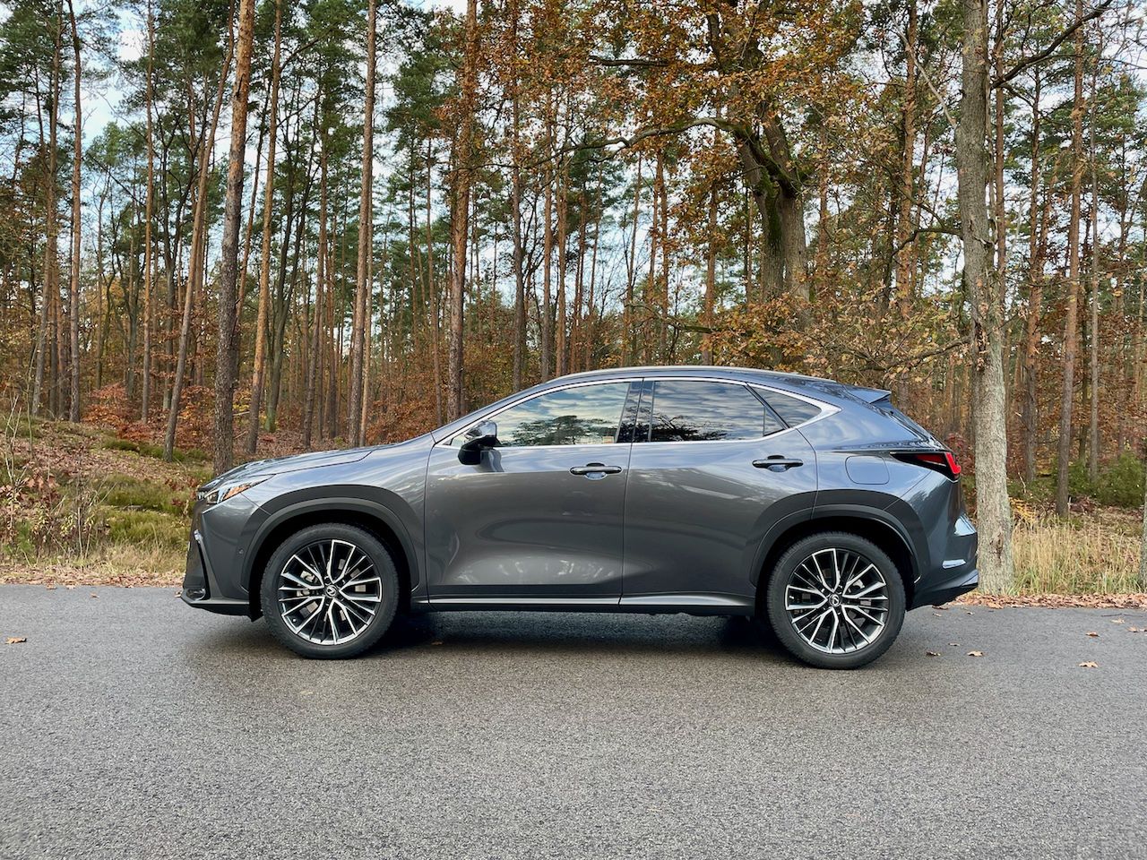 Lexus NX450h+