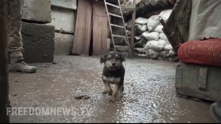 Oto "Rambo" (Fot. freedomnews.tv)