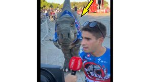 Hit! Koszulki z dinozaurami robią show na starcie Vuelta a Espana