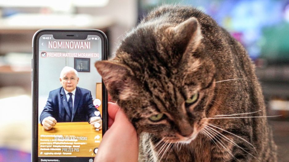 Kaczyński