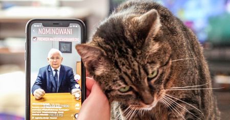 Jarosław Kaczyński grozi senatorom PiS. W klubie tli się bunt przeciwko prezesowi