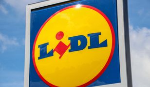 Promocja w Lidl. Sieć wprowadza przeceny na niemal 1000 produktów. Wszystko w związku ze zmianami w... VAT
