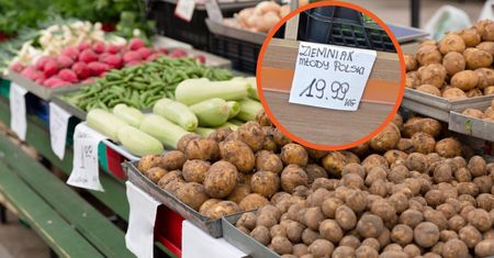 Młode ziemniaki z Polski już w sprzedaży. Ceny powalają