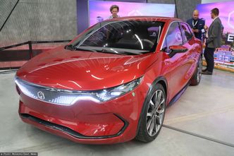 69 mln zł na polskiego elektryka. Efektów brak