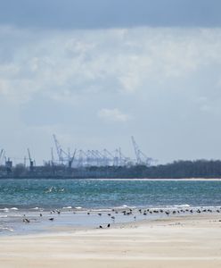 Bezpieczny sezon na gdańskich kąpieliskach