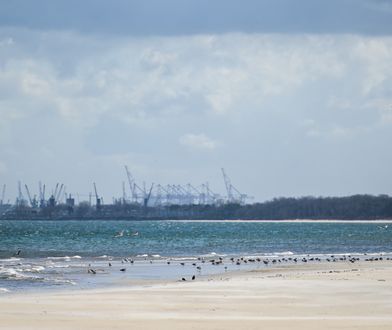 Bezpieczny sezon na gdańskich kąpieliskach