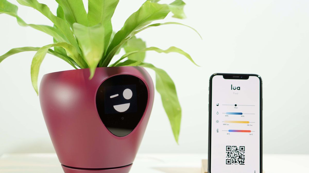 Lua: urządzenie, które zamieni Twoją roślinę w zwierzątko Tamagotchi 1