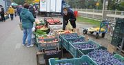 Stalowa Wola: Jesienny targ. Na straganach kolorowo od pomidorów, jabłek i śliwek