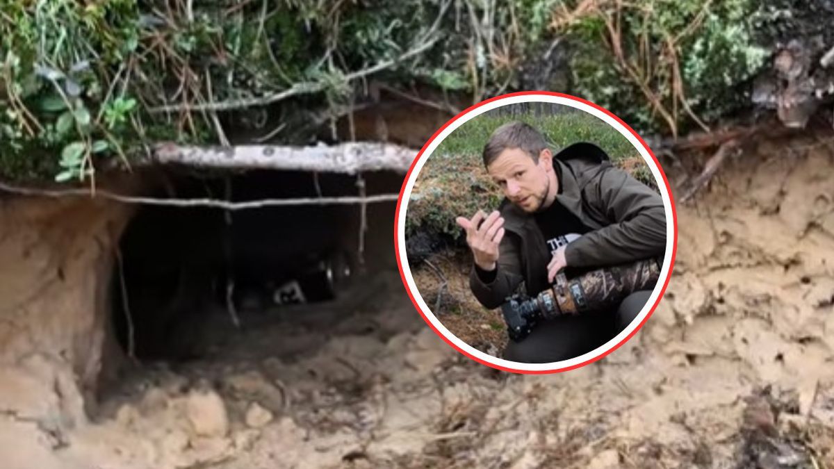Niespodzianka w leśnej norze. Leśnik z Olesna nie krył zdziwieni