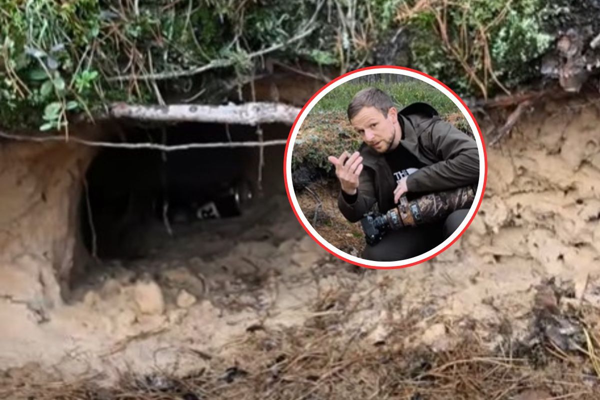 Zajrzał do nory w lesie. Nie tego się spodziewał. Pokazał, co zastał