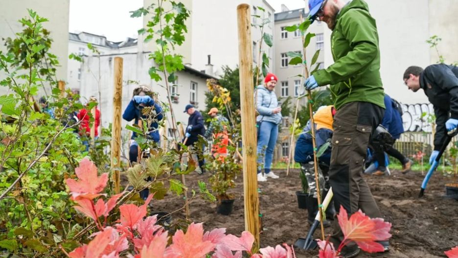 Poznaniacy zdobyli dla miasta ponad 150 drzew.
