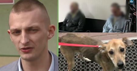 Skatowali i zakopali psa żywcem, bo… przeszkadzał im w piciu alkoholu! Oprawcy trafią do więzienia na 8 miesięcy