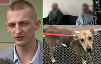 Skatowali i zakopali psa żywcem, bo… przeszkadzał im w piciu alkoholu! Oprawcy trafią do więzienia na 8 miesięcy