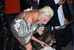 Lady Gaga zaliczyła wpadkę! Gwiazda nie dopięła sukienki
