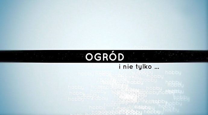 Ogród i nie tylko