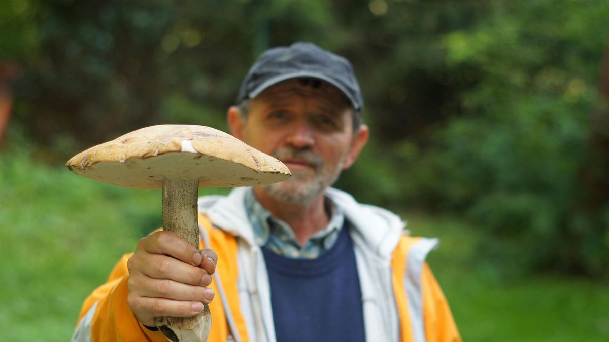 Grzybobranie. Leśnik radzi, jak być bezpiecznym i nie zg w lesie