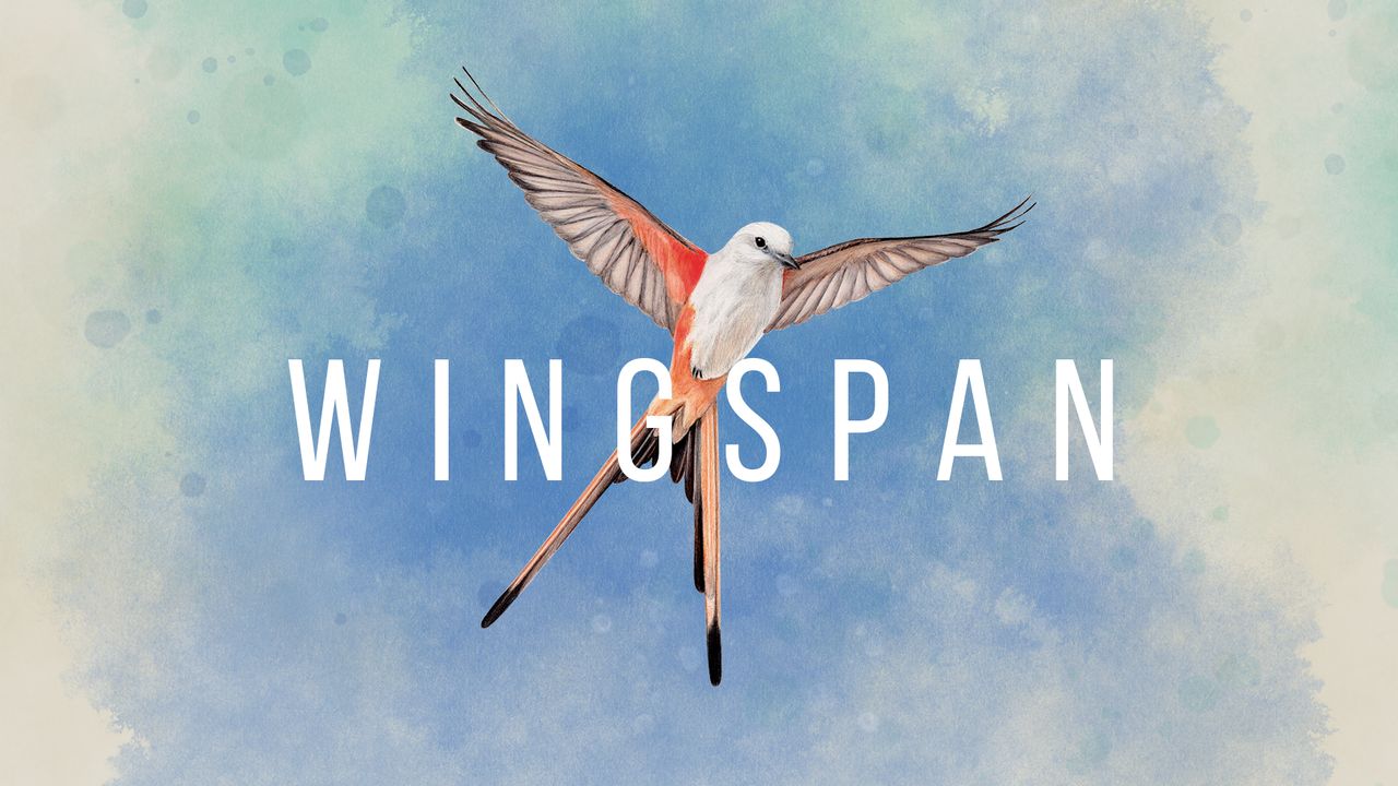 Wingspan - ornitologiczna karcianka z 2019 roku, nareszcie w formie cyfrowej!