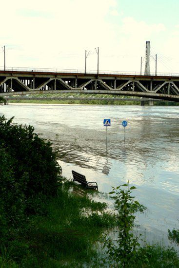 Zalany deptak - Warszawa zmaga się z wodą - WP Wiadomości