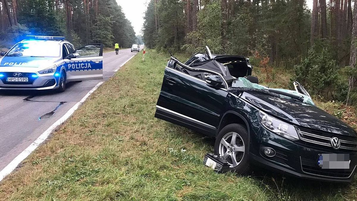 Drzewo przewróciło się na volkswagena