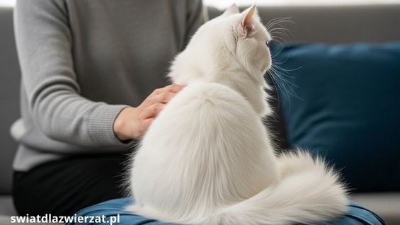 Dlaczego kot odwraca się tyłem?