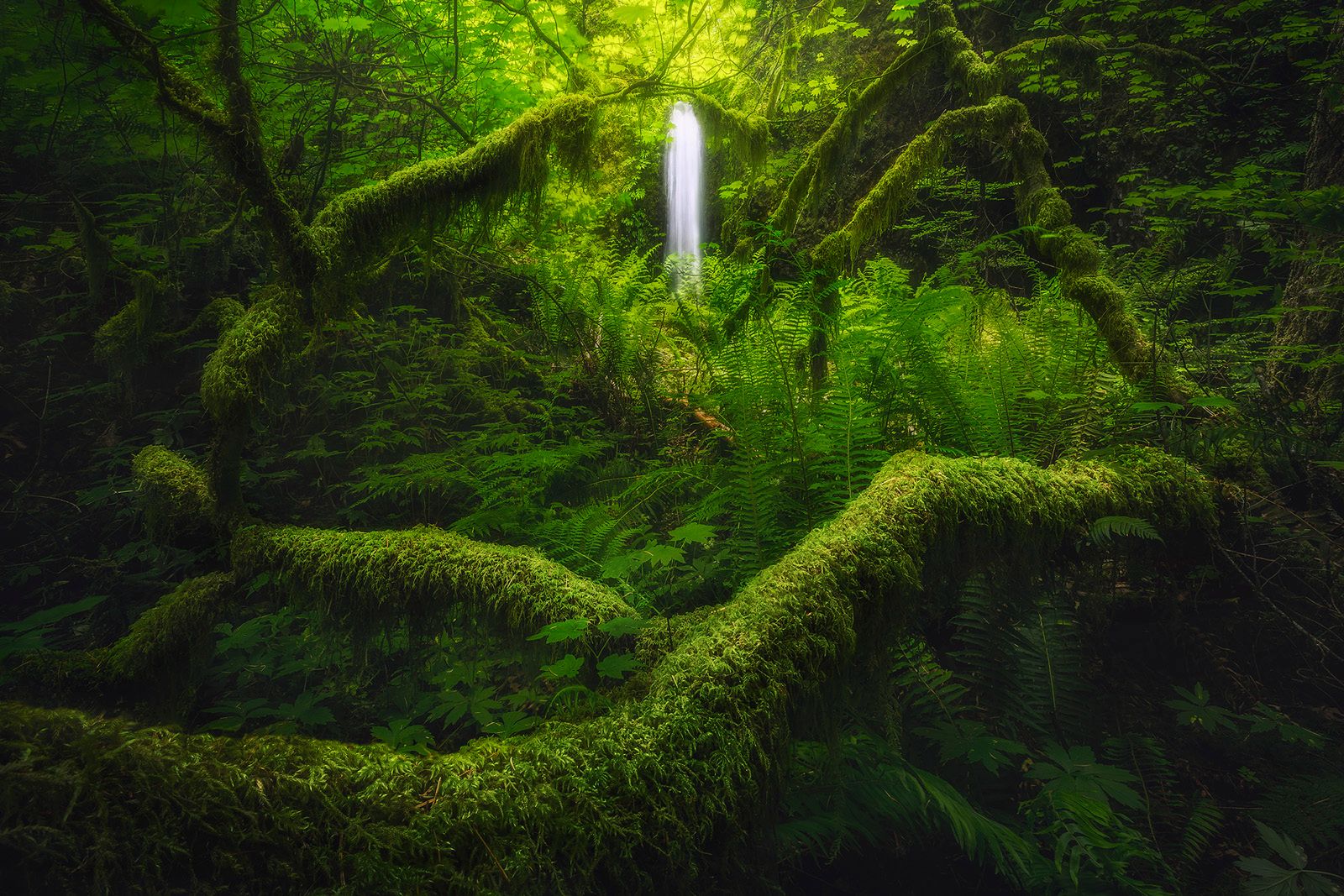 Najlepsze zdjęcia krajobrazowe w konkursie Landscape Photo of the Year 2019 3