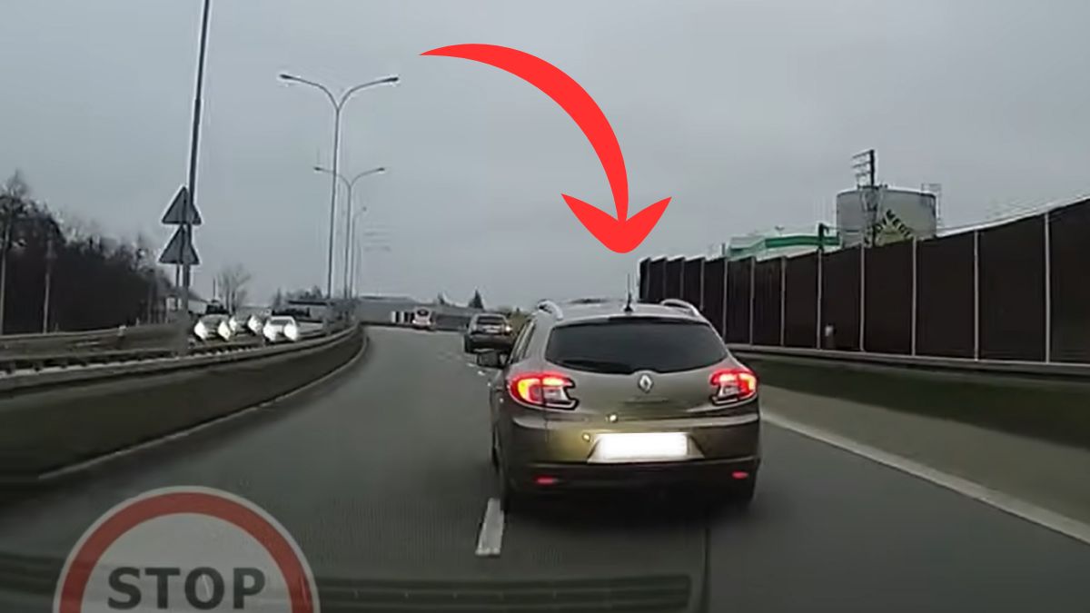 Kierowca Renaulta nagle zahamował 