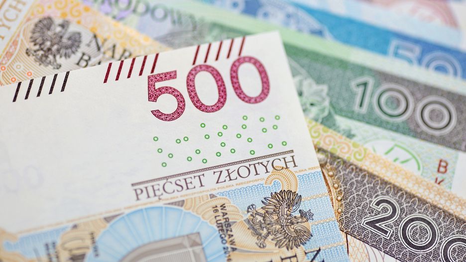Kluczowy element tarczy antyinflacyjnej. Ministerstwo tłumaczy, jak dostać pieniądze 
