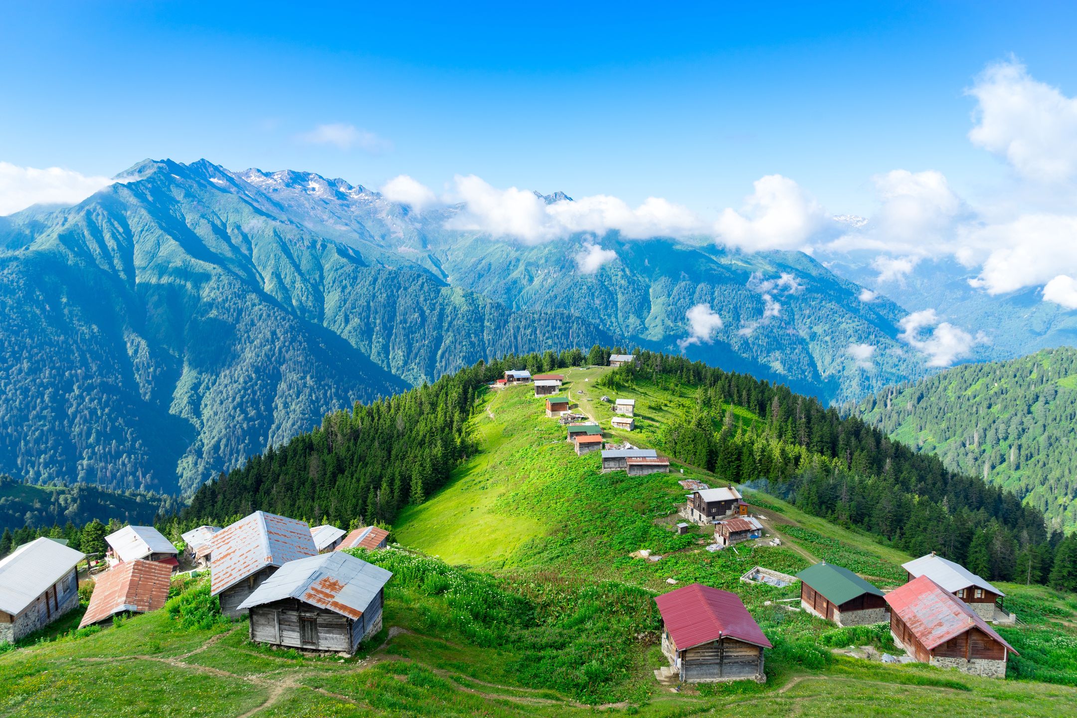 Rezerwat przyrody Pokut Yaylası