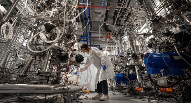 Nestle chce wprowadzić do oferty mięso produkowane w laboratorium