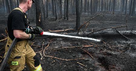 Ponad 200 strażaków w akcji. Dogaszają pogorzelisko w Puszczy Solskiej