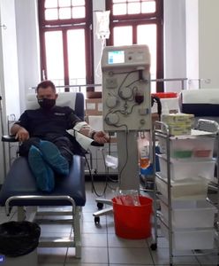 Koronawirus w Polsce. Lekarze apelują o pomoc. Brakuje osocza, które ratuje życie chorym na COVID-19