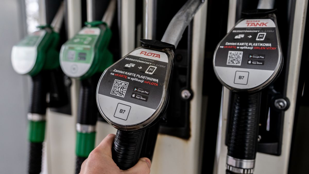 GDANSK, POLAND - 2023/01/05: A gas pump is seen at the Orlen petrol station in Gdansk. (Photo by Mateusz Slodkowski/SOPA Images/LightRocket via Getty Images)