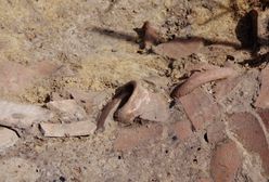 Sensacja na Podkarpaciu. Znaleziono grecką amforę sprzed 2,5 tys. lat