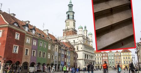 Podstępem wchodzą do klatek. Niebywałe, co robią potem