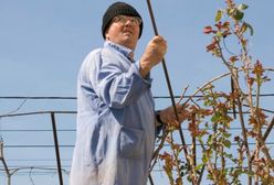 Najrzadsze polskie zawody