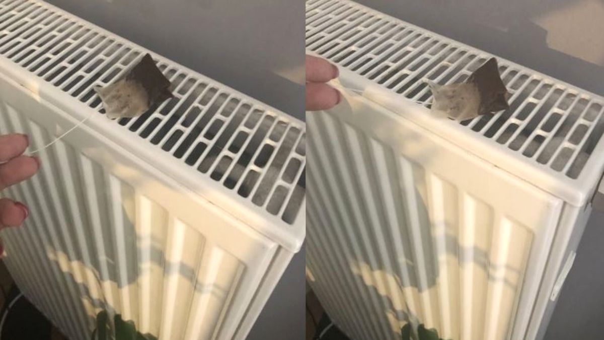 Torebka herbaty na kaloryferze