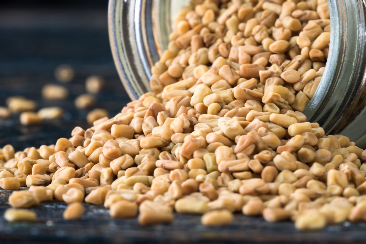 Fenugreek - Deliciousness