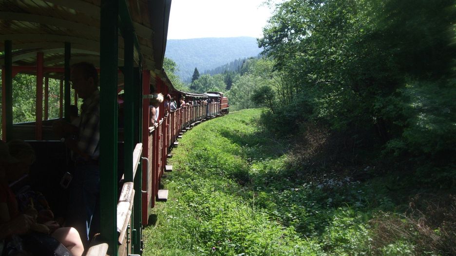Do stolicy powraca znana akcja charytatywna