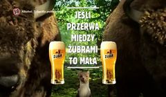 Żubry ratują łasicę w reklamie piwa Żubr (wideo)