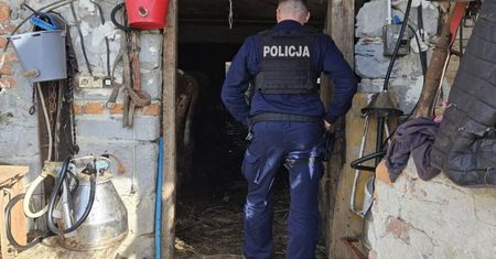 Policjanci weszli na posesję. Dramatyczne odkrycie w Małopolsce