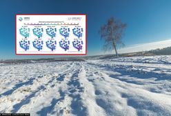 Nowe mapy pogodowe na 10 dni. Arktyczne mrozy w Polsce. Nawet -23 stopnie