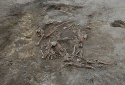 Czy Polacy powinni wybaczyć Ukraińcom zbrodnię wołyńską?