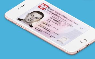 Możemy być świadkami nowej patologii. Obawy wobec RODO