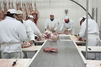 Gospodarka Białorusi. Producenci mięsa stracili przez Rosję już ponad 300 mln dolarów