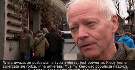 Personel zoo w Kopenhadze zastrzelił żyrafę