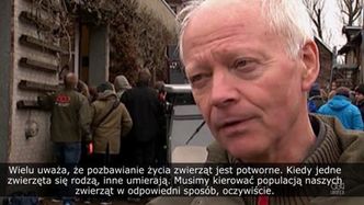 Personel zoo w Kopenhadze zastrzelił żyrafę