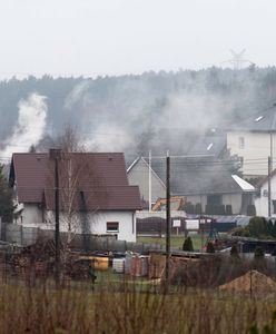 Nikt się nie przyzna, wielu to robi. Połowa Polaków uważa, że sąsiedzi palą odpadami