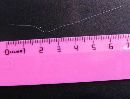 Jak wyglądają dowody na istnienie syberyjskiego yeti? 4