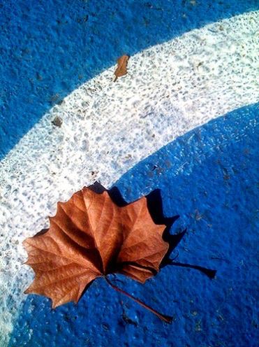 iPhone potrafi robić zdjęcia - 25 pięknych fotografii z telefonu Apple 11