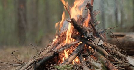 Leśnicy apelują do turystów. "To połączenie może by tragiczne w skutkach"